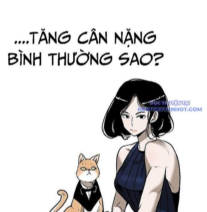 Shark - Cá Mập - 104