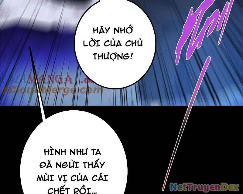 Chưởng Môn Khiêm Tốn Chút [Chap 410-472] - Page 65