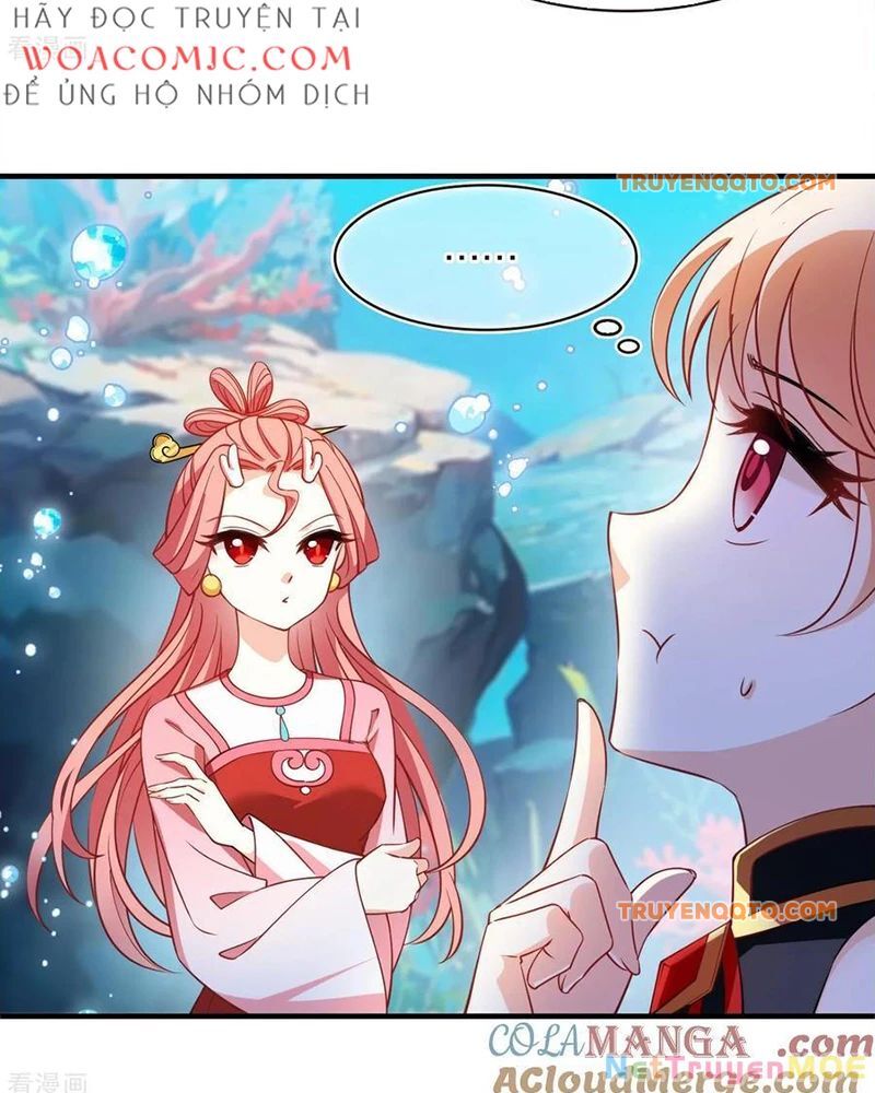 frame-13
