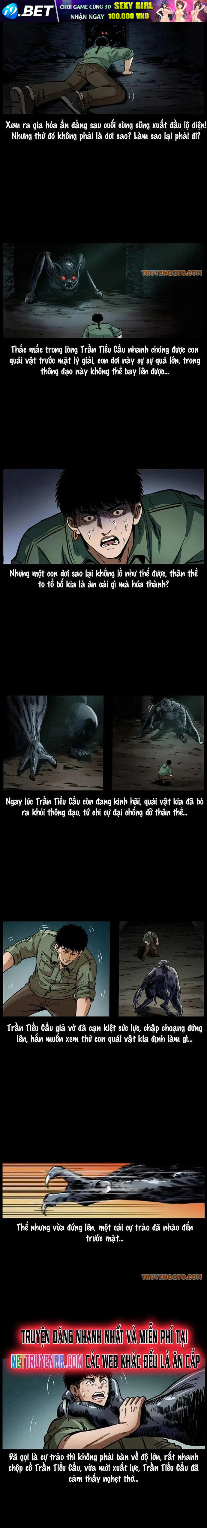 frame-6