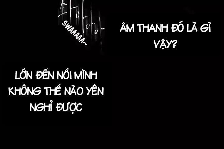 page_28.jpg