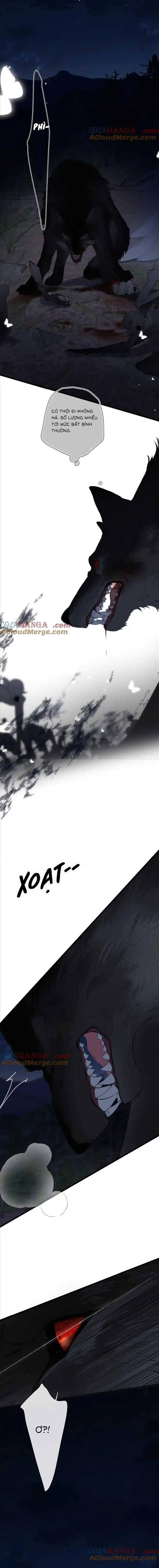 frame-3