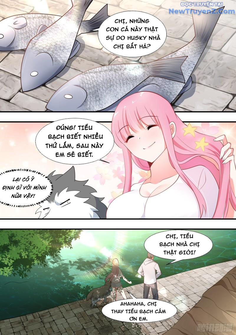 Trọng Sinh Thành Chó Của Nữ Thần [Chap 98-107]