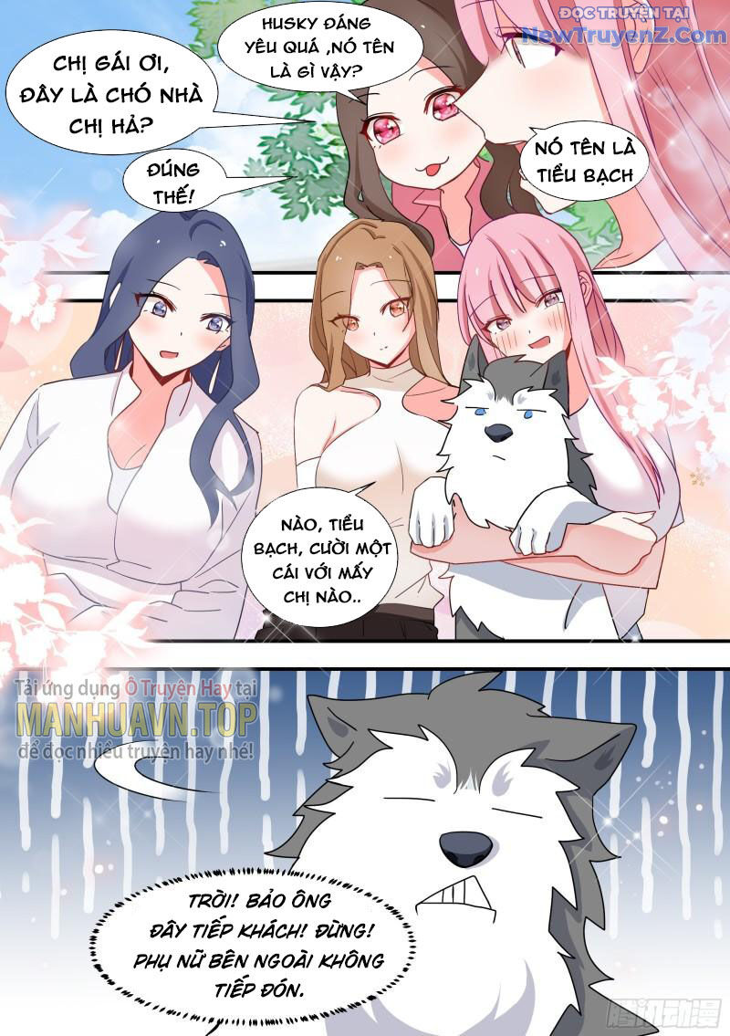 Trọng Sinh Thành Chó Của Nữ Thần [Chap 98-107]