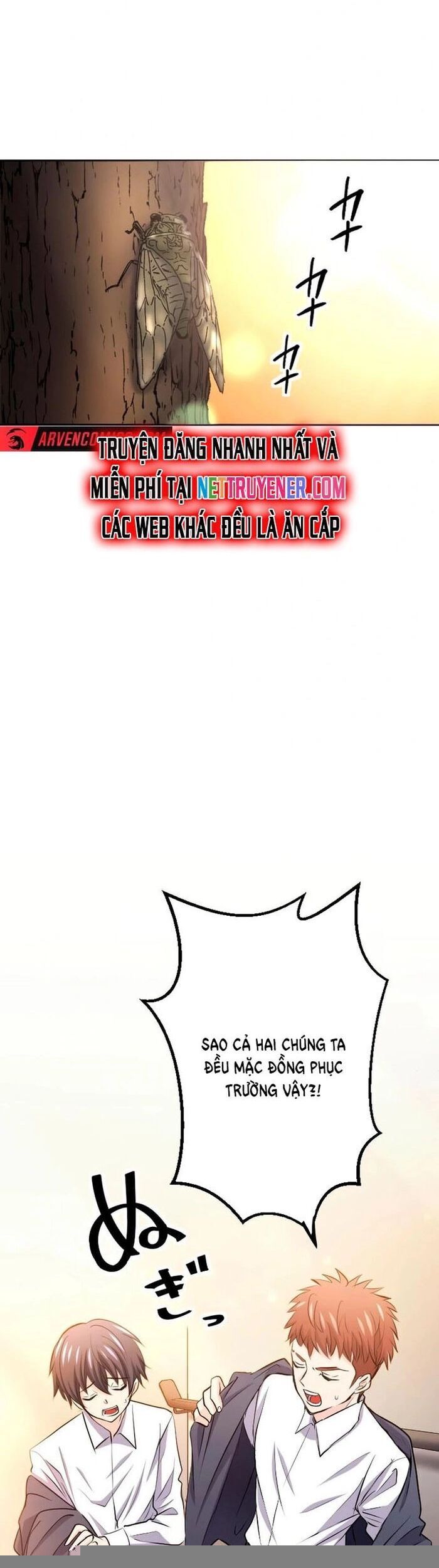 53
