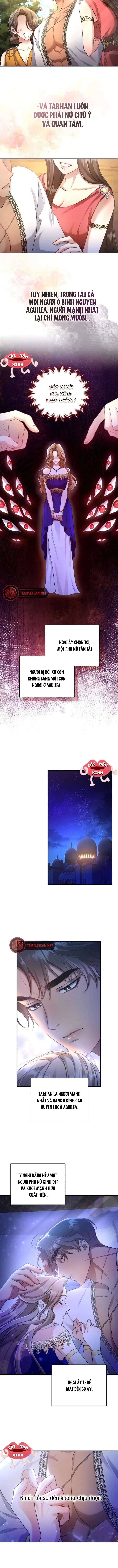page_5.jpg