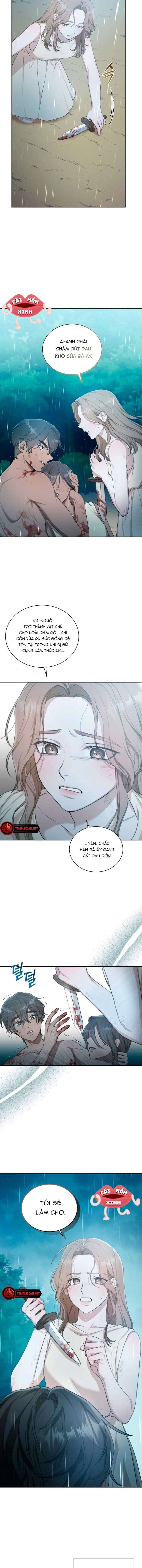 page_13.jpg