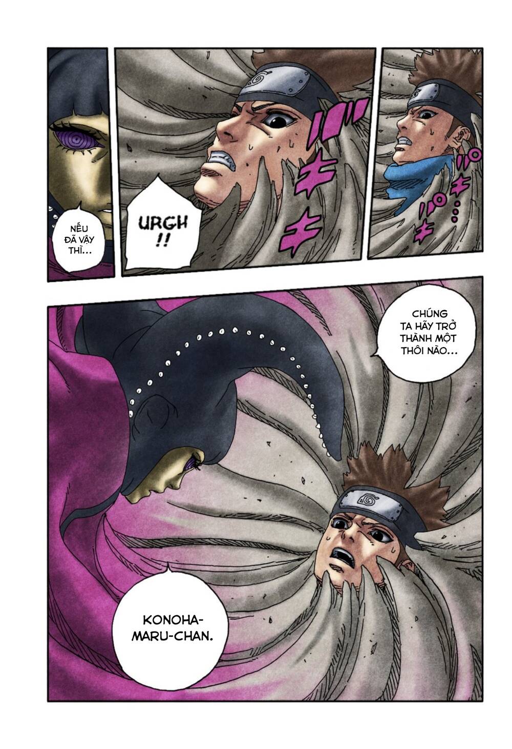 41