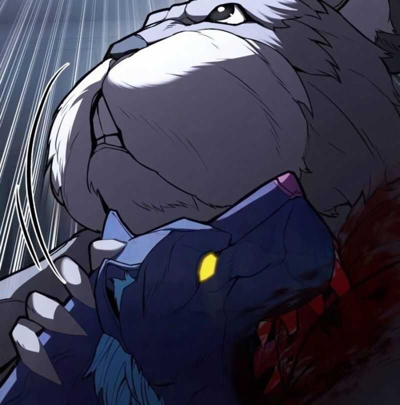 141