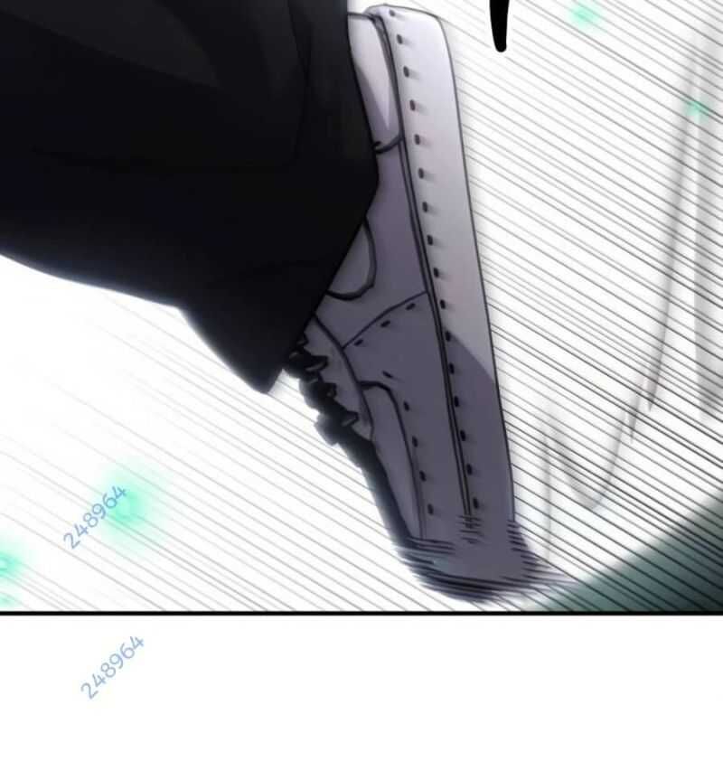 231
