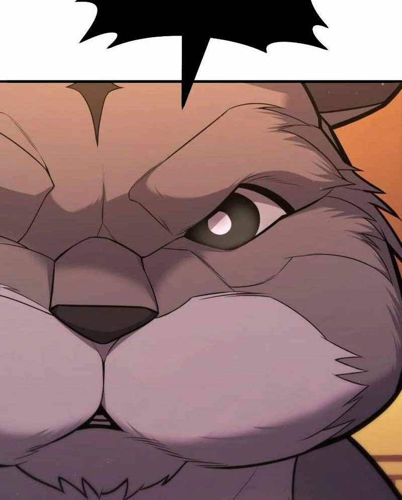 81