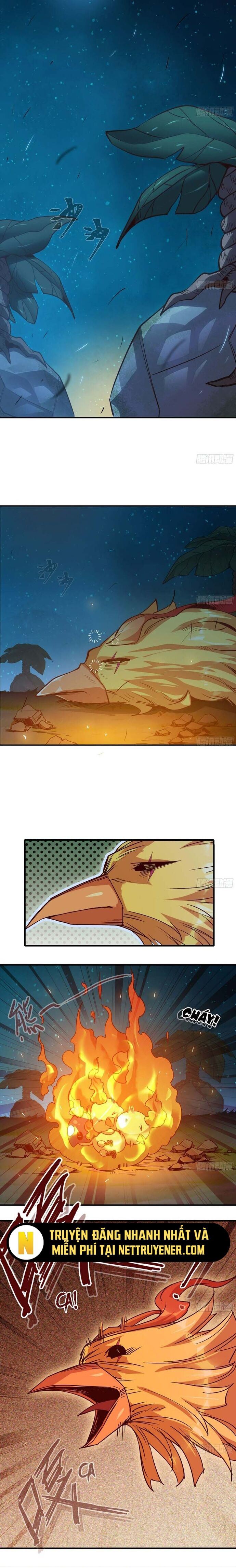 Chapter 16 - Image 5