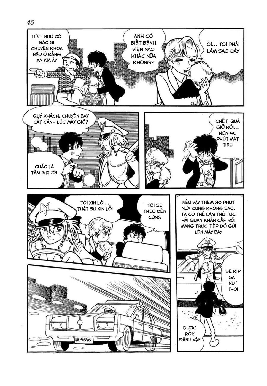 page_12.jpg