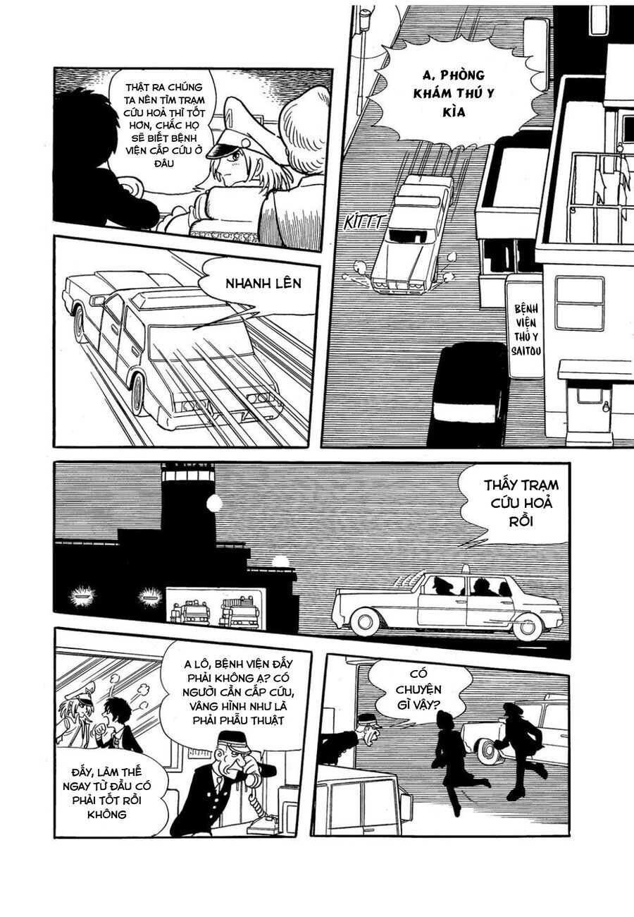 page_13.jpg