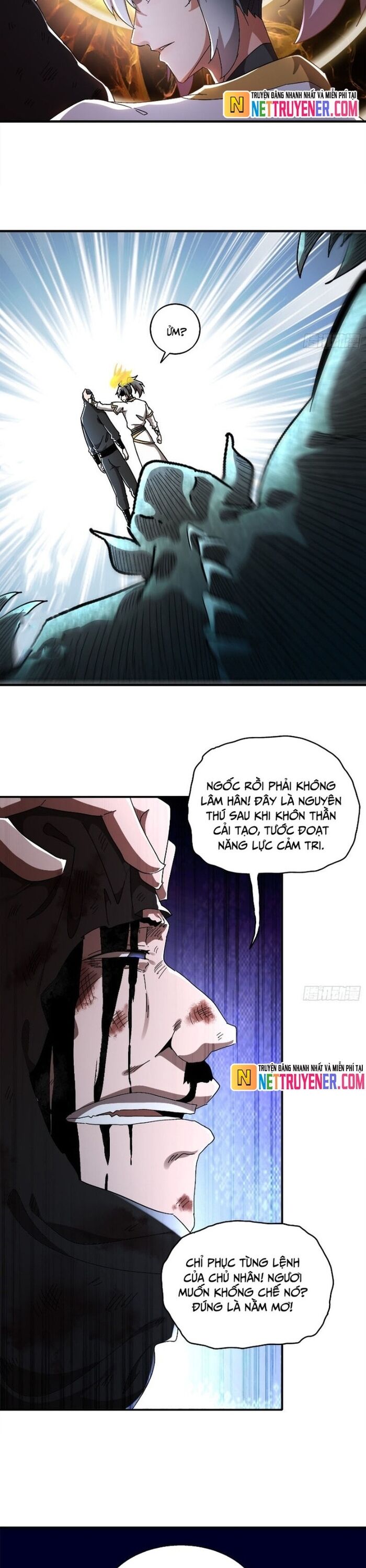 Tuyệt Sắc Đạo Lữ Đều Nói Ngô Hoàng Thể Chất Vô Địch [Chap 372-384] - Page 3