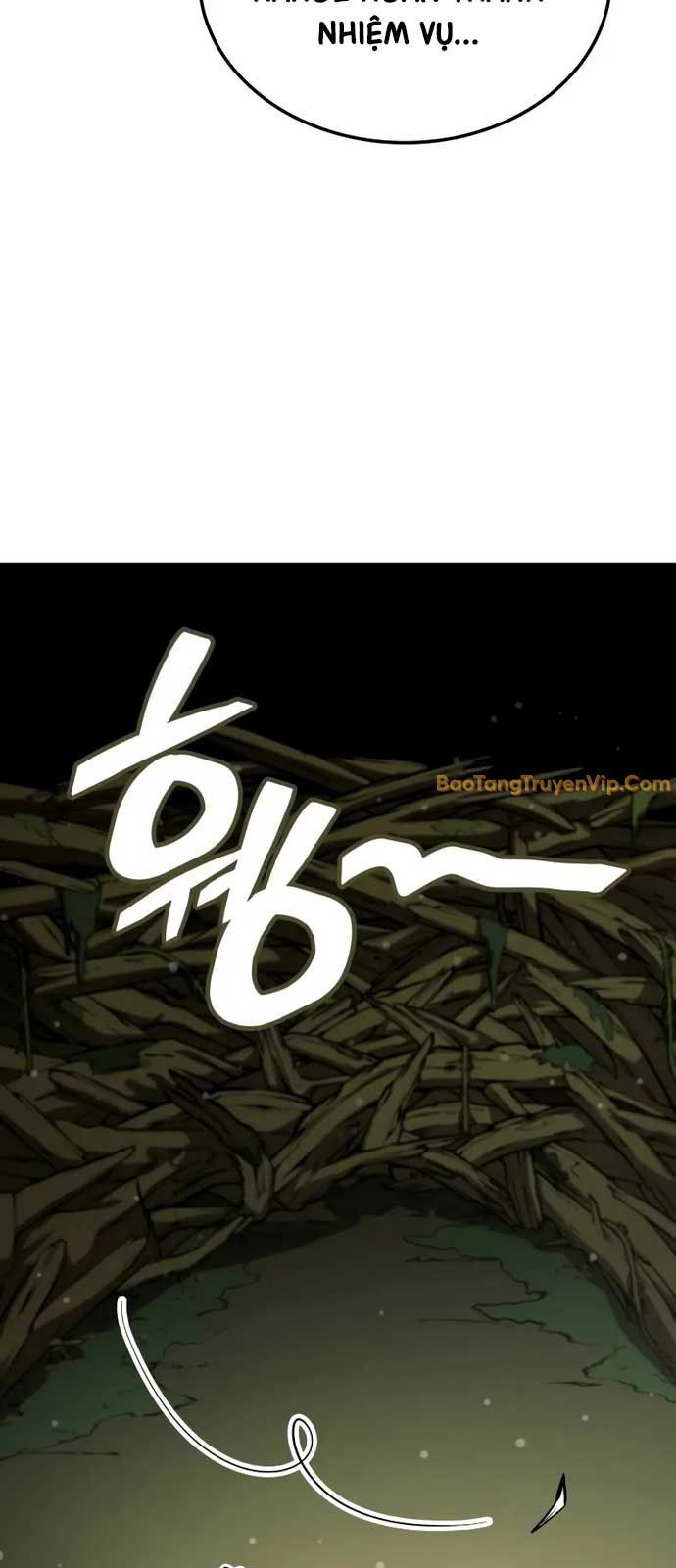 81