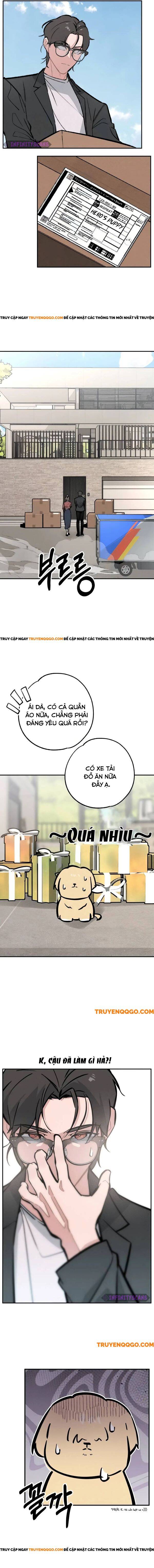 page_16.jpg