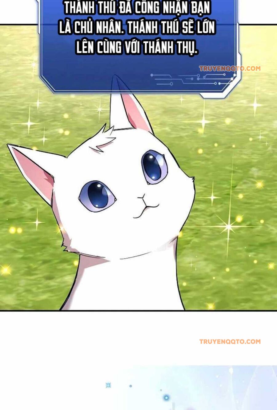 80