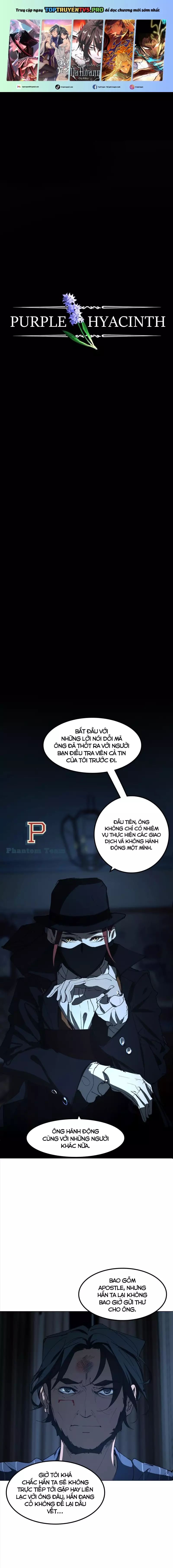 Hoa Lục Bình Tím [Chap 0.1-71.2]