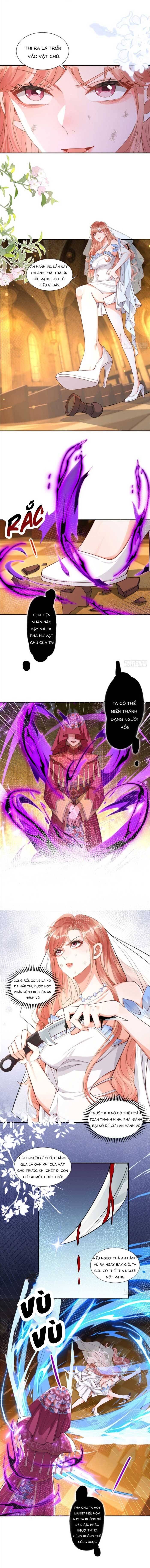 Cô Vợ Nhỏ Cứ Thích Phá Vỡ Hình Tượng [Chap 1-19]