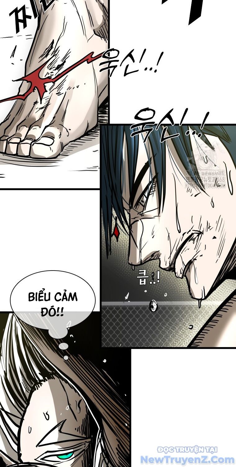 66