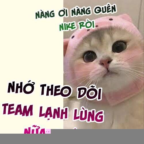 Tiểu Bảo Bối Đặc Biệt Của Tổng Tài Lạnh Lùng [Chap 39-50]