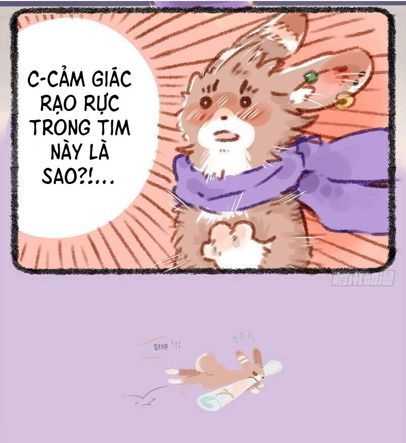 Có Linh Thú [Chap 2-1040]