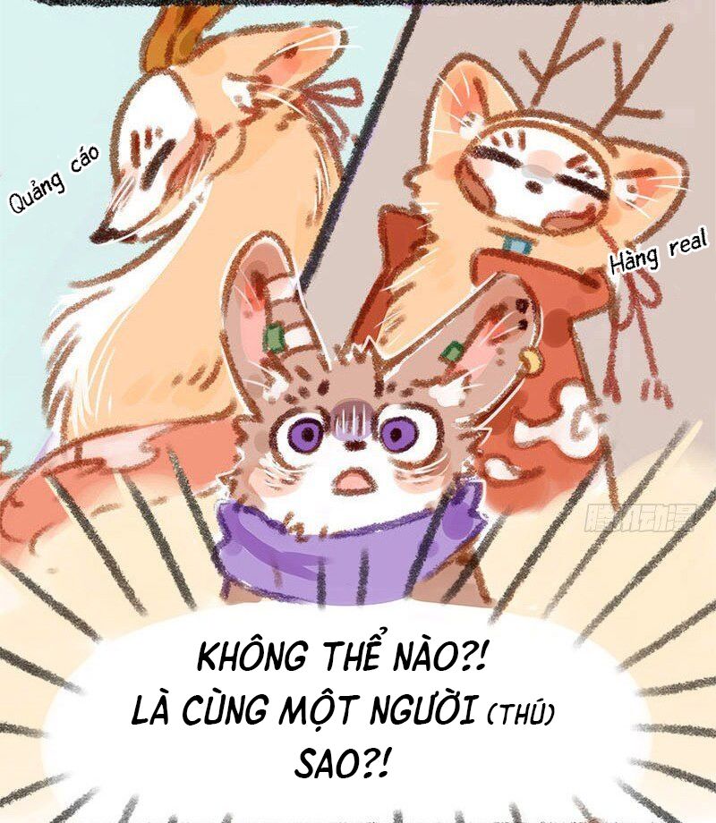 Có Linh Thú [Chap 2-1040]
