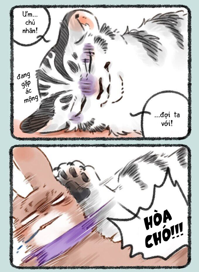 Có Linh Thú [Chap 2-1040]