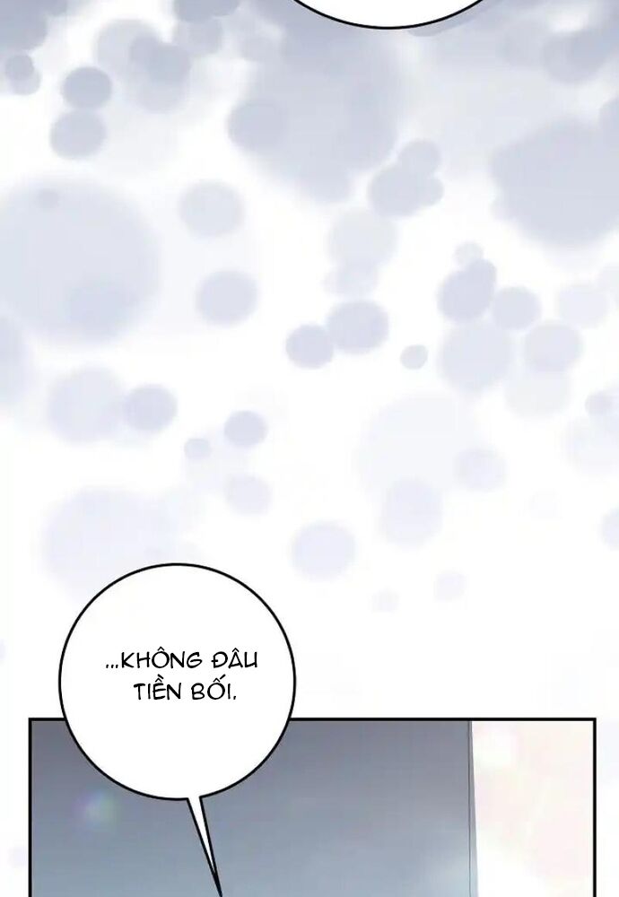 81