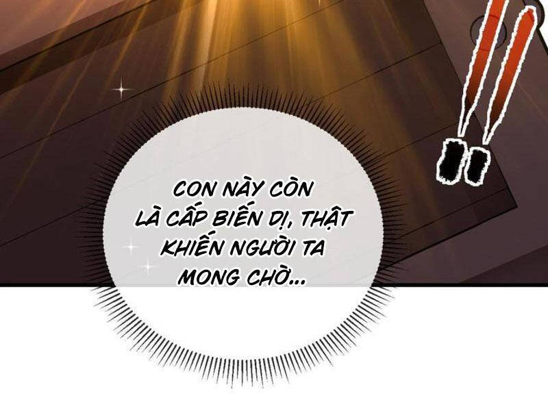 Mệnh Luân Chi Chủ! Khi Dị Biến Giáng Lâm Nhân Gian! [Chap 1-125]