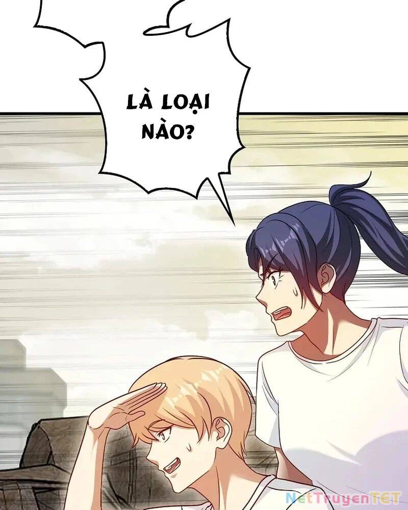 Thiên Tài Võ Thuật Hồi Quy Chapter 80 - TC Truyện