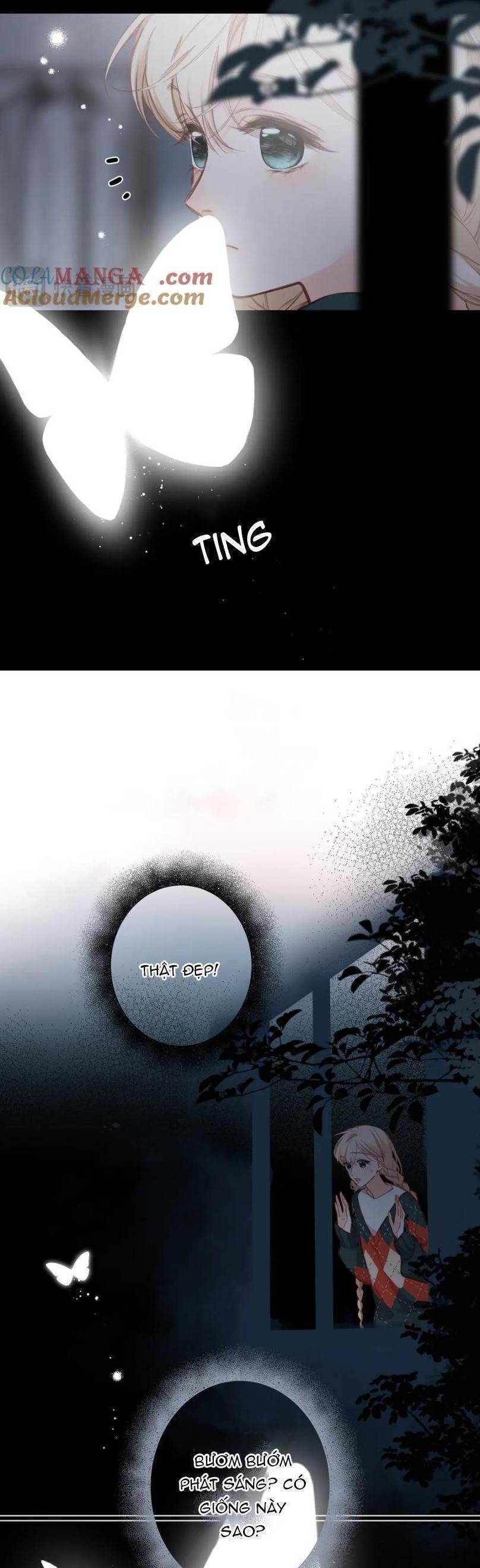 Ngược Dòng Về Mùa Xuân [Chap 1-39]