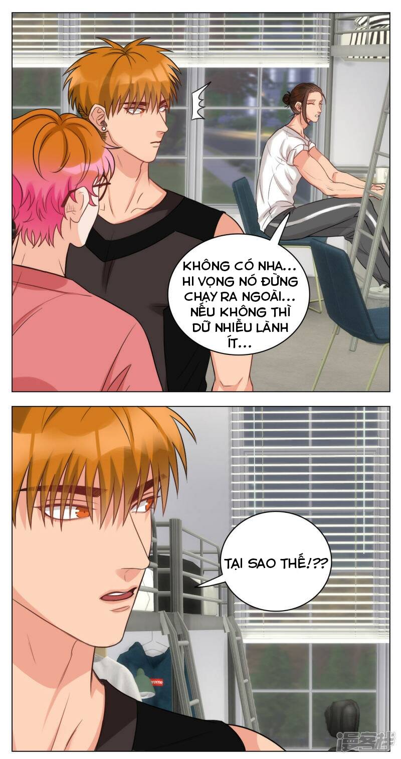 Ký Túc Xá Nam Phòng 303 [Chap 1-249]