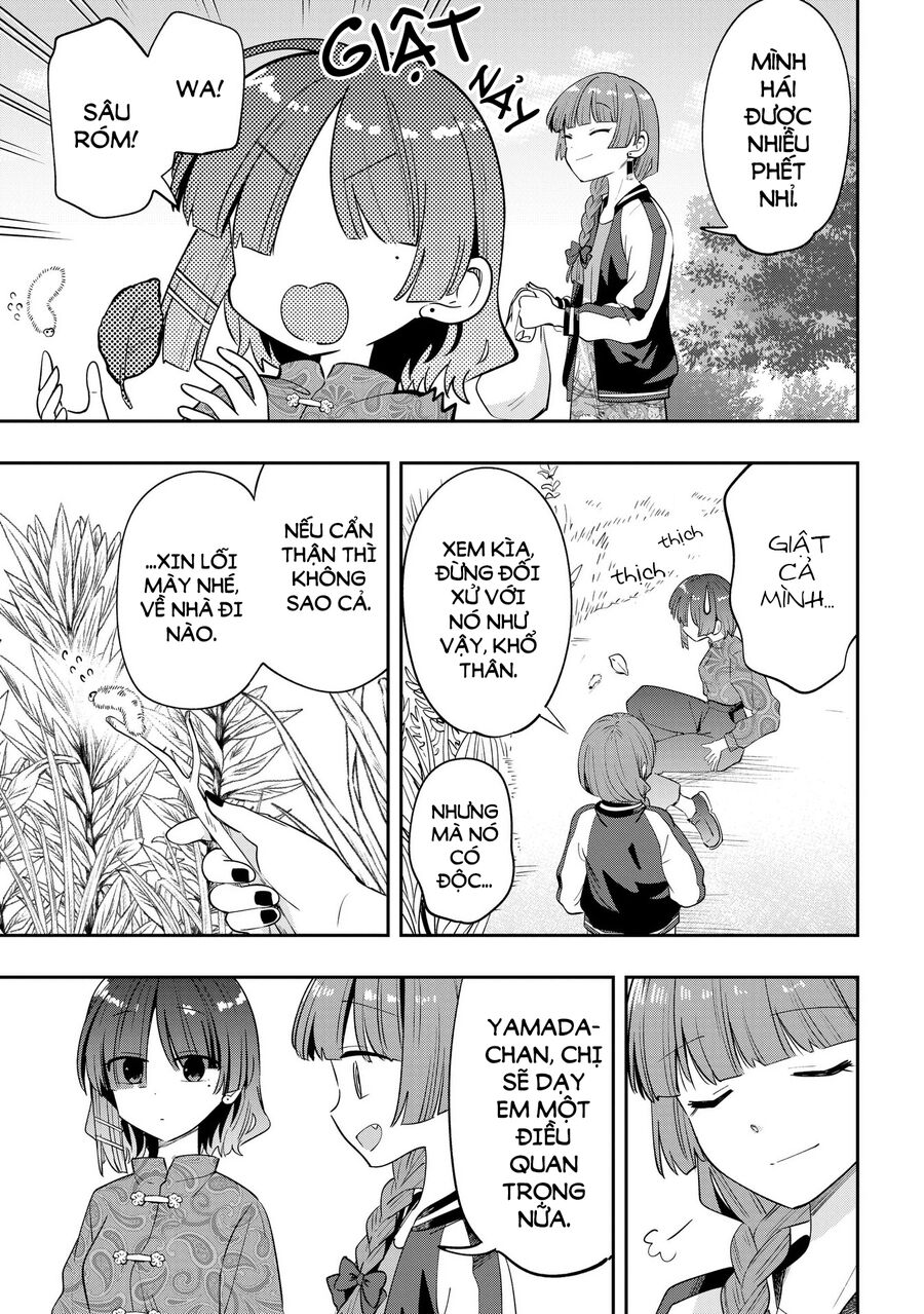 Bocchi The Rock! Ngoại Truyện Nhật Ký Say Rượu Của Hiroi Kikuri [Chap 1-38]