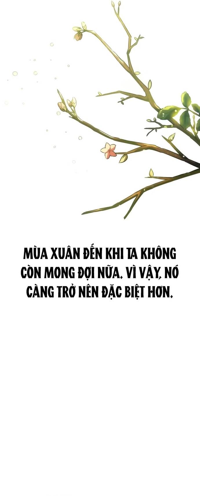 Cẩm Nang Sinh Tồn Của Nhân Vật Phụ Ở Học Viện [Chap 36-50]