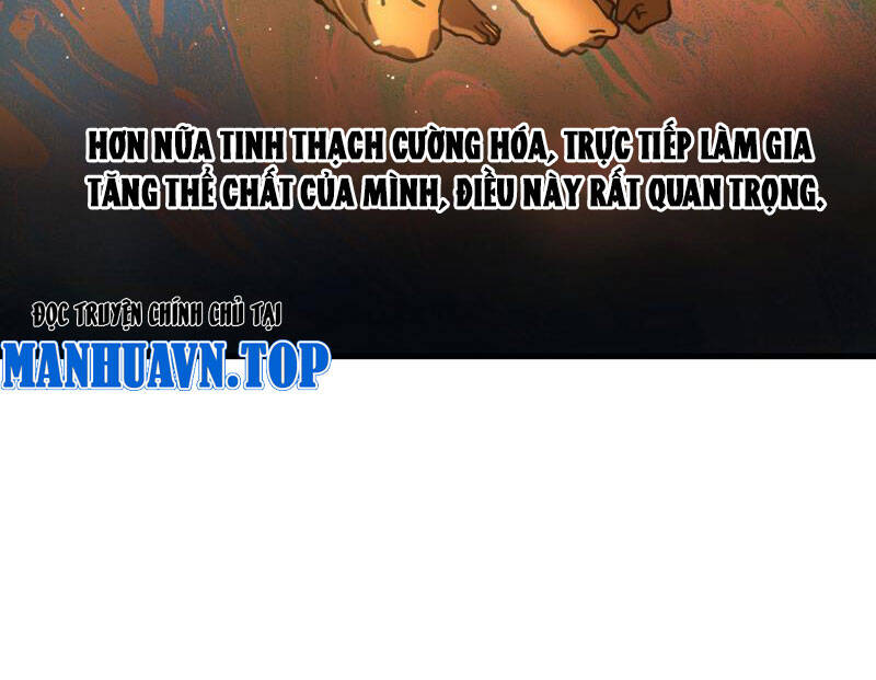 Toàn Cầu Ngự Thú Ta Có Thể Thấy Lộ Tuyến Tiến Hoá [Chap 1-24]