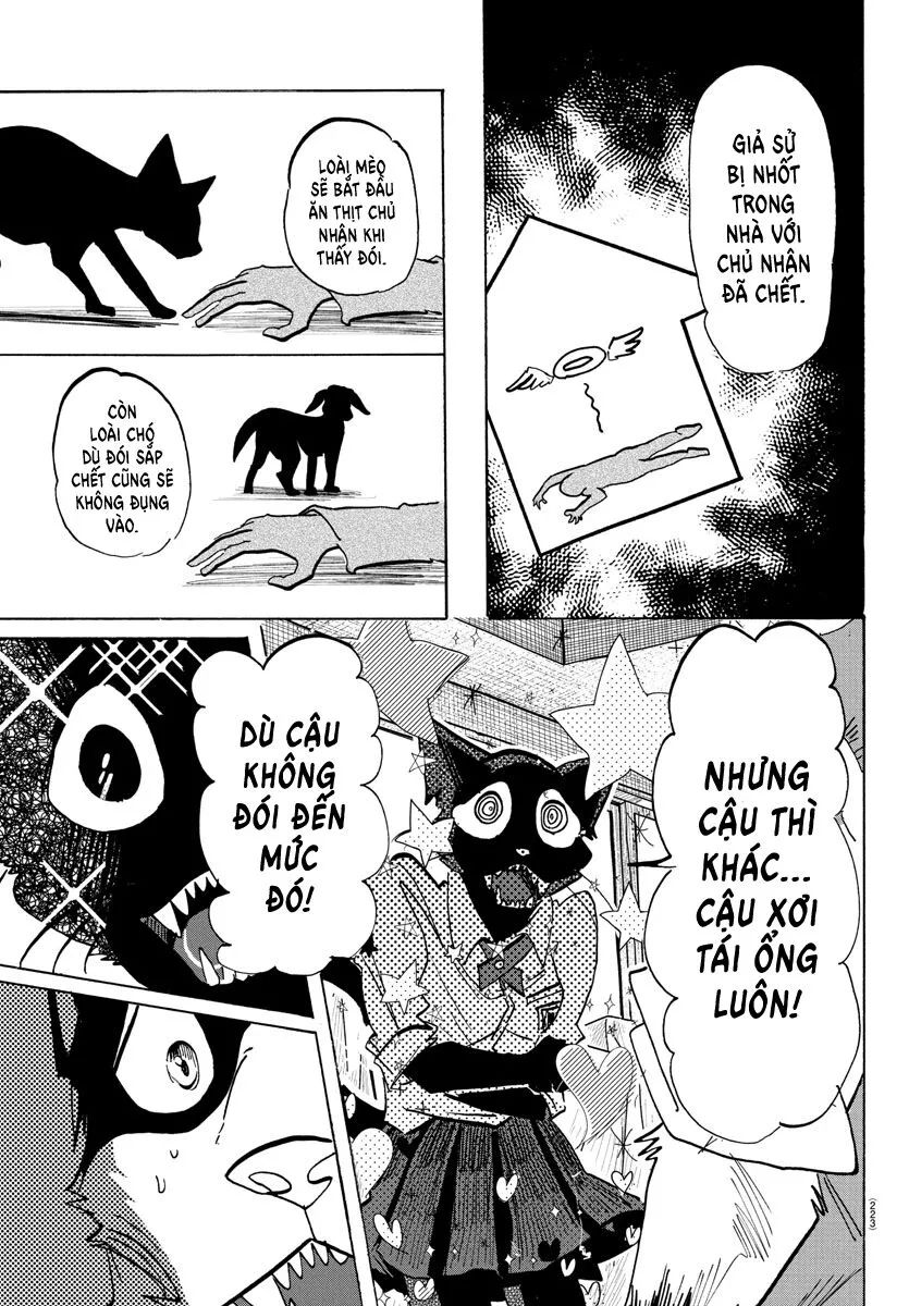 Lý Trí Của Taika [Chap 1-19]