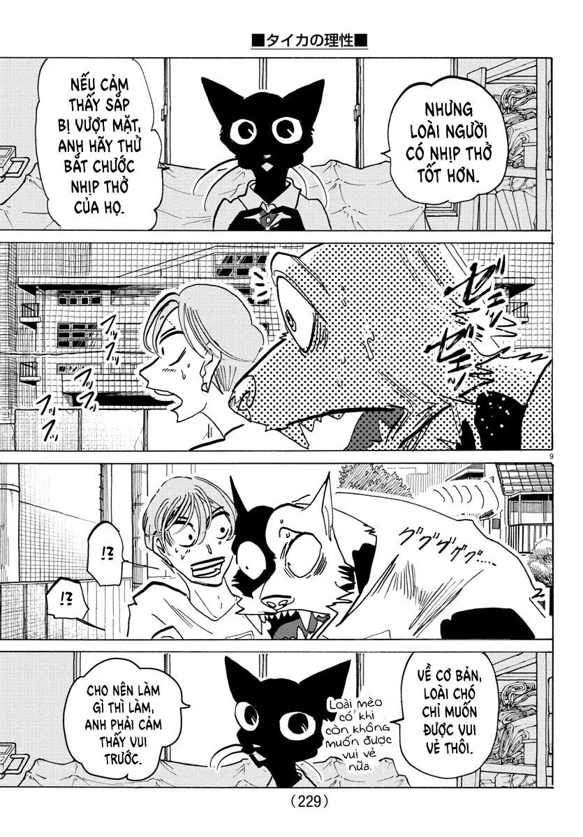 Lý Trí Của Taika [Chap 1-19]
