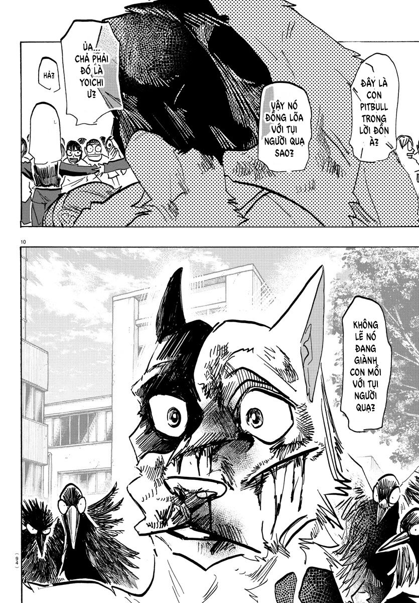 Lý Trí Của Taika [Chap 1-19]