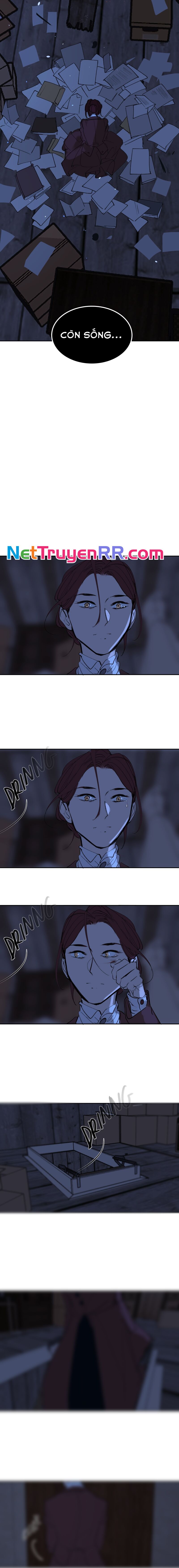 Hoa Lục Bình Tím [Chap 72-81.4]