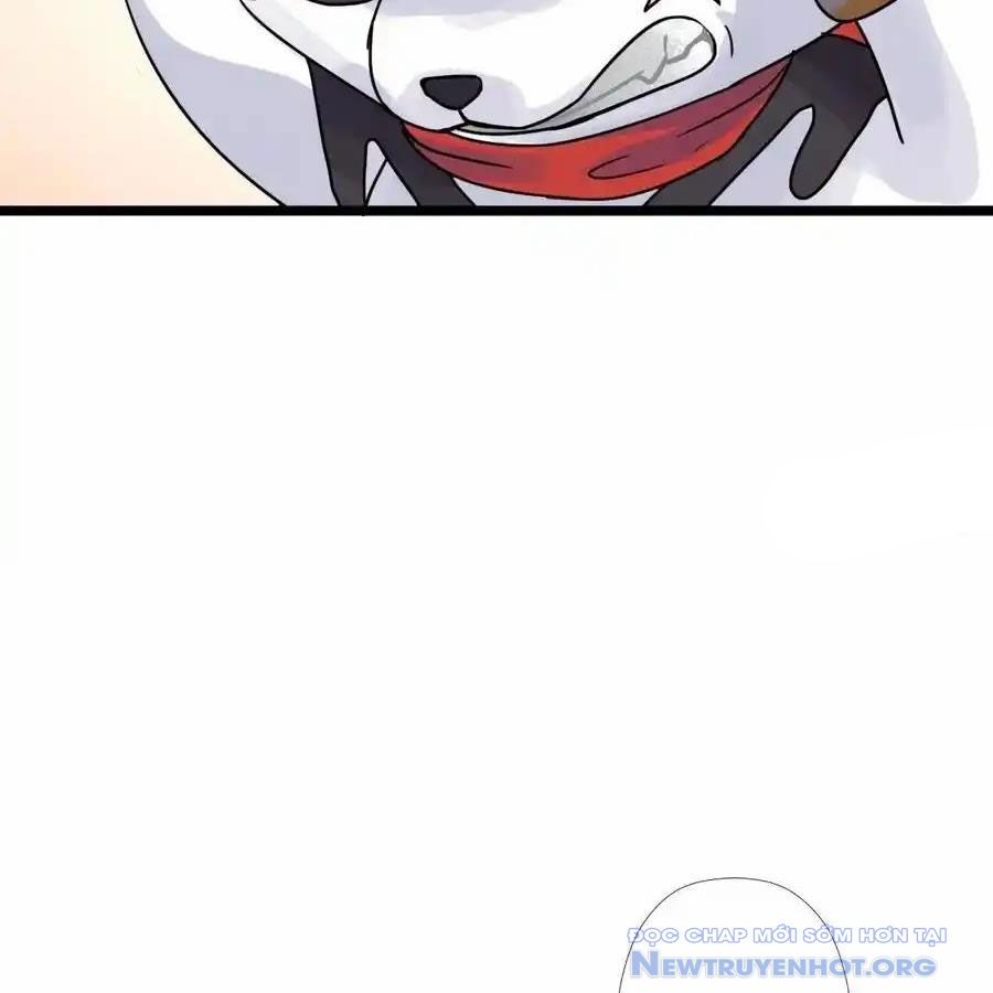 68