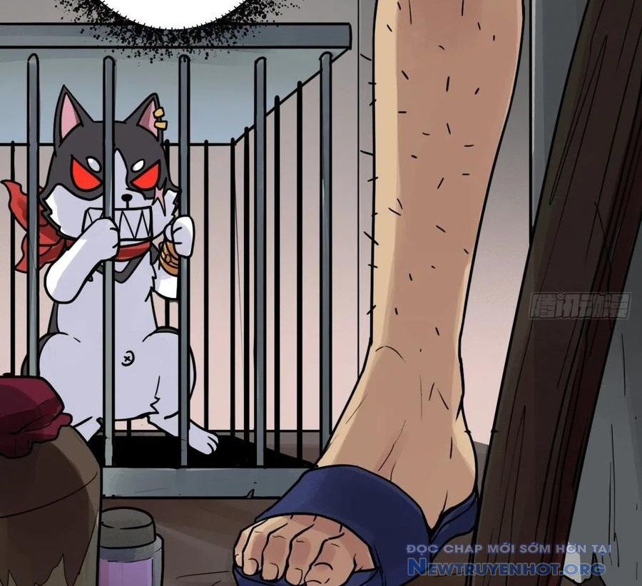 51