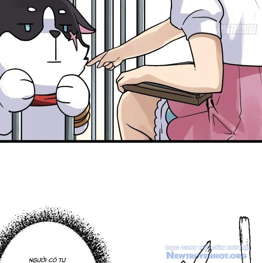 74