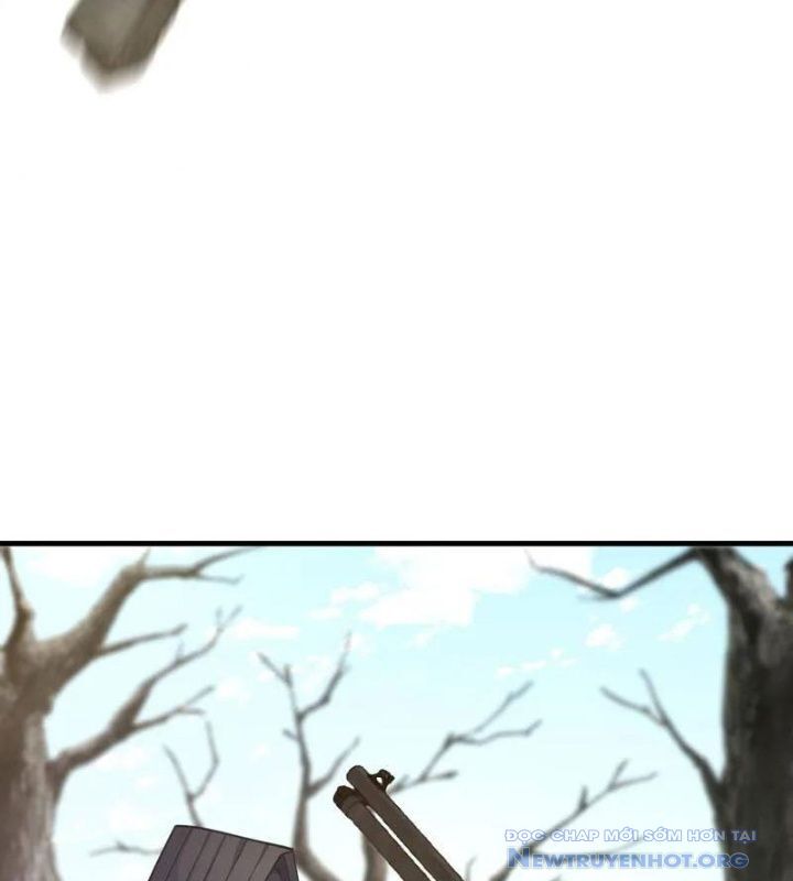81