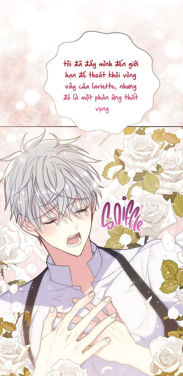 Bệ Hạ Xin Đừng Giết Tôi!!! [Chap 1-139]