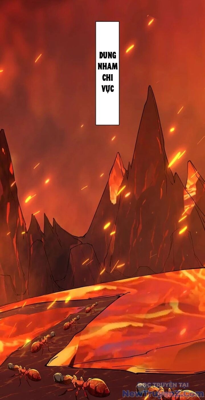 45