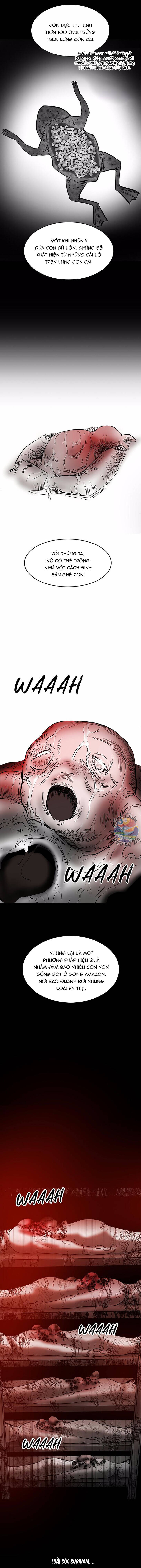 Lướt Tiếp Nếu Bạn Dám [Chap 1-27]