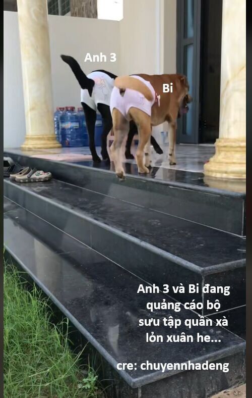 80