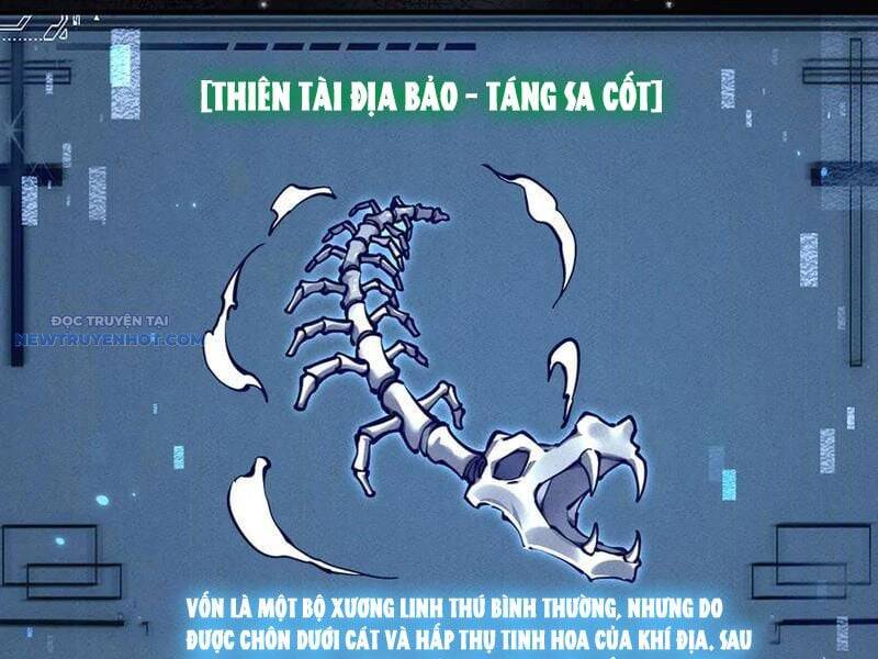 Toàn Chức Kiếm Tu [Chap 1-55]